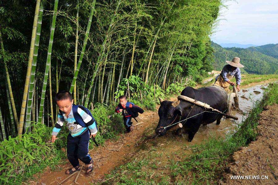 Land of idyllic beauty in Chongyi, E China