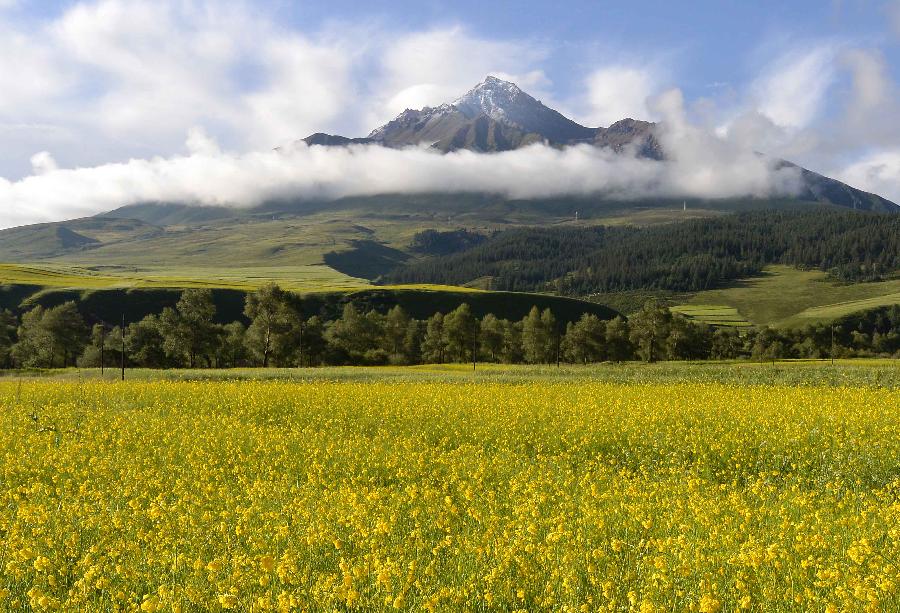 Scenery of Qilian Mountains