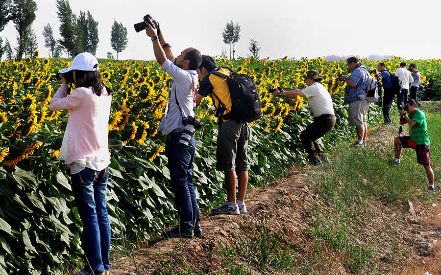 Foreign photographers enjoy China's unique sights