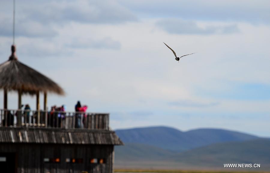 Beauty of Gahai Wetland in NW China's Gansu