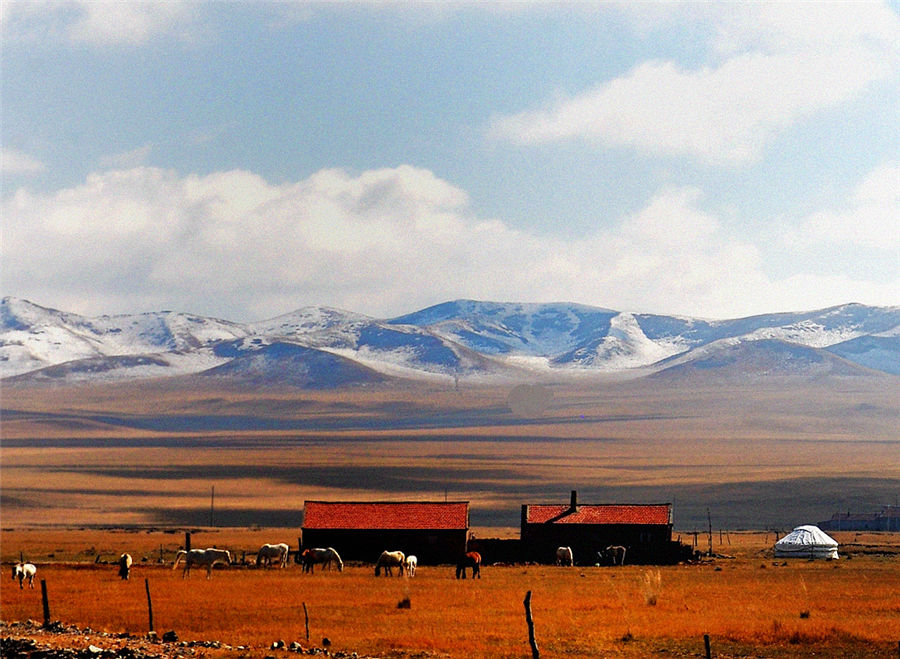 Autumn scenery of Xilinguole Grassland in Inner Mongolia