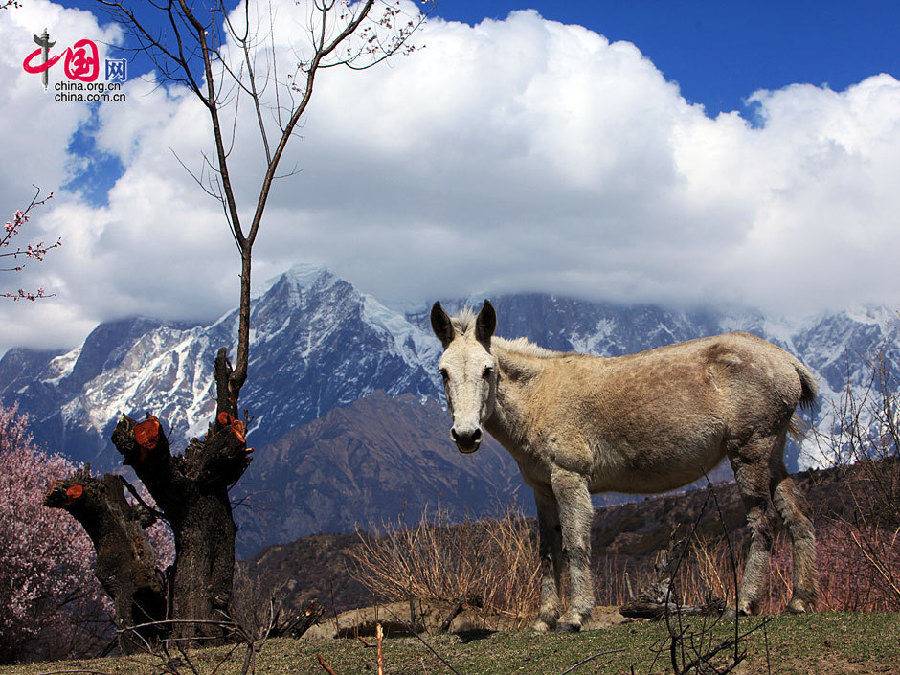 Yarlung Zangbo Grand Canyon in Tibet