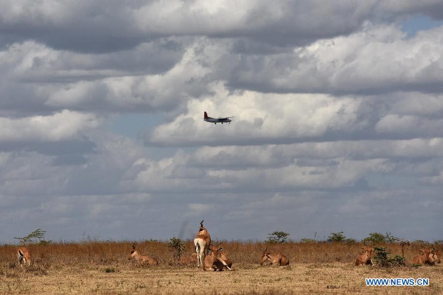 In pictures: Kenya's Nairobi National Park