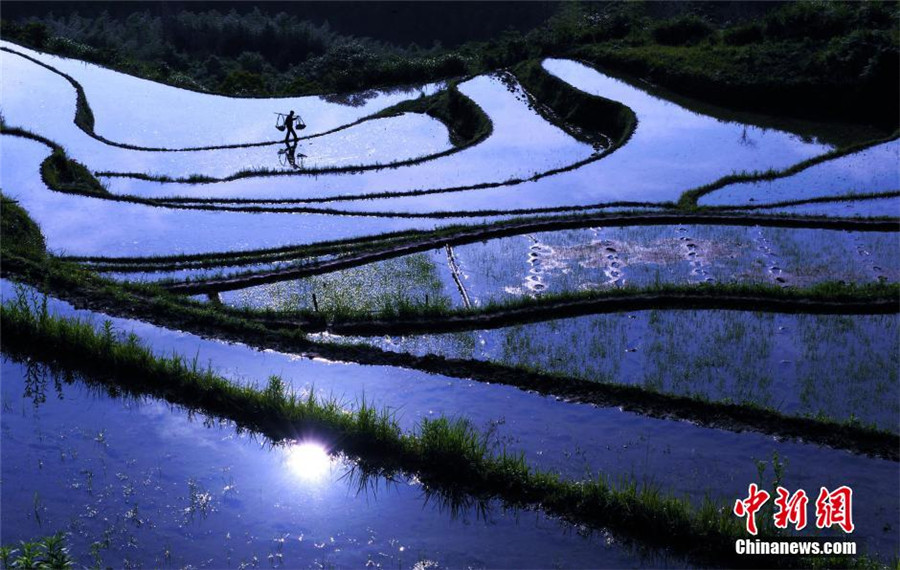 Intoxicating terrace in E China's Zhejiang