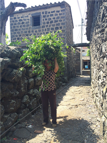 Ancient Sanqing village, a volcanic wonder in Haikou