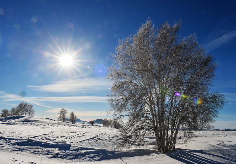 Rime scenery on prairie in Inner Mongolia