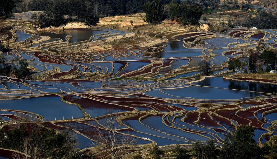 Hani terraces present unique winter scenery