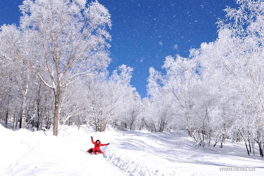 Rime scenery in NE China's Jilin