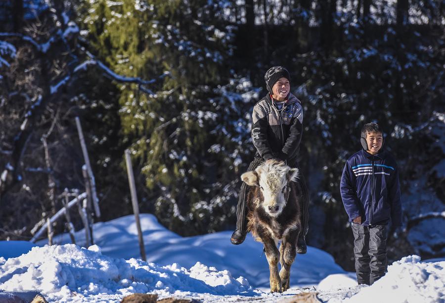 Villagers in Tianshan mountains live traditional nomadic life