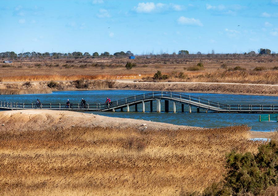 China's most beautiful wetlands