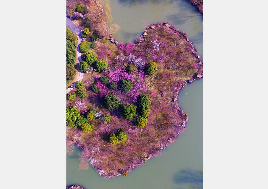 Aerial photos of Wanhua Park scenery in E China