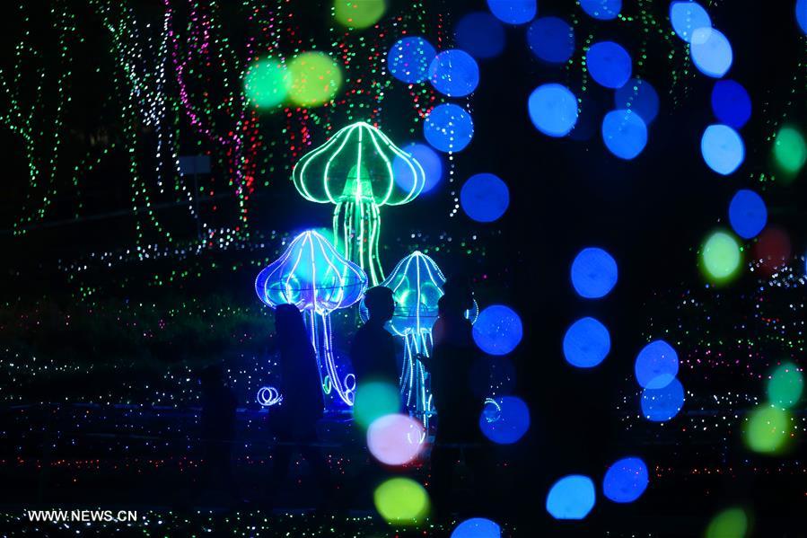 Tourists view colorful lights at light festival in E China's Nantong