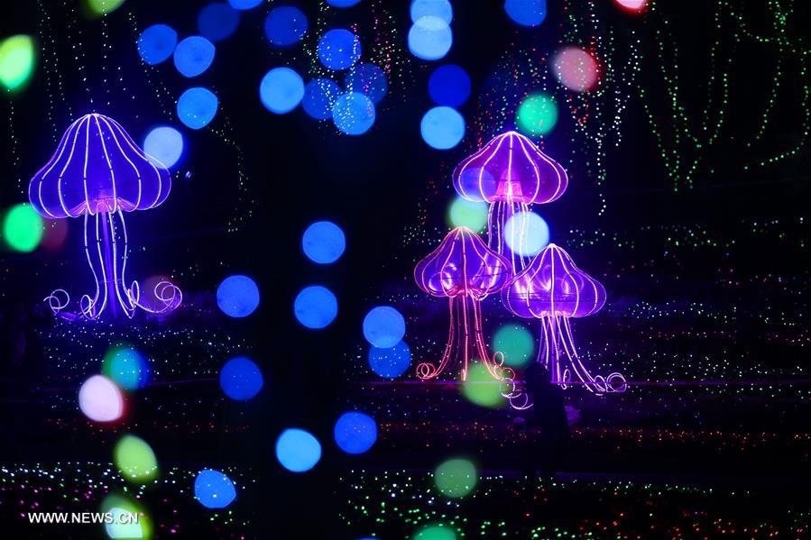 Tourists view colorful lights at light festival in E China's Nantong