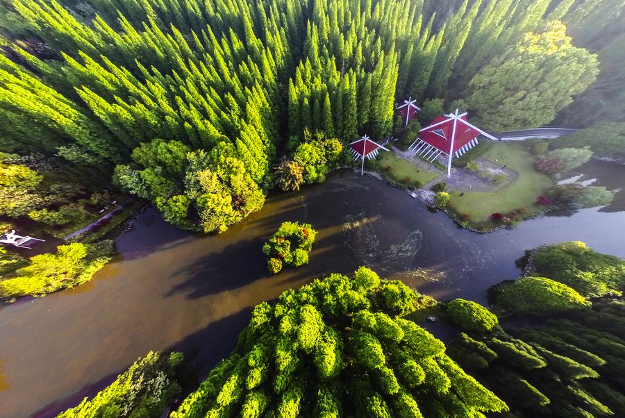 Scenery of Dongping National Forest Park in Shanghai