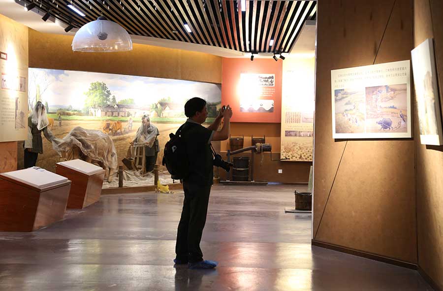 First wheat museum opens in Henan province