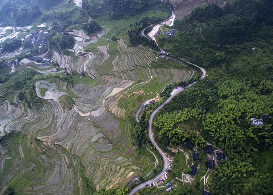 Scenery of Yunhe terrace fields in Zhejiang