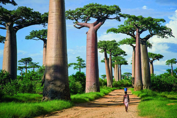 Finding Magic in Madagascar