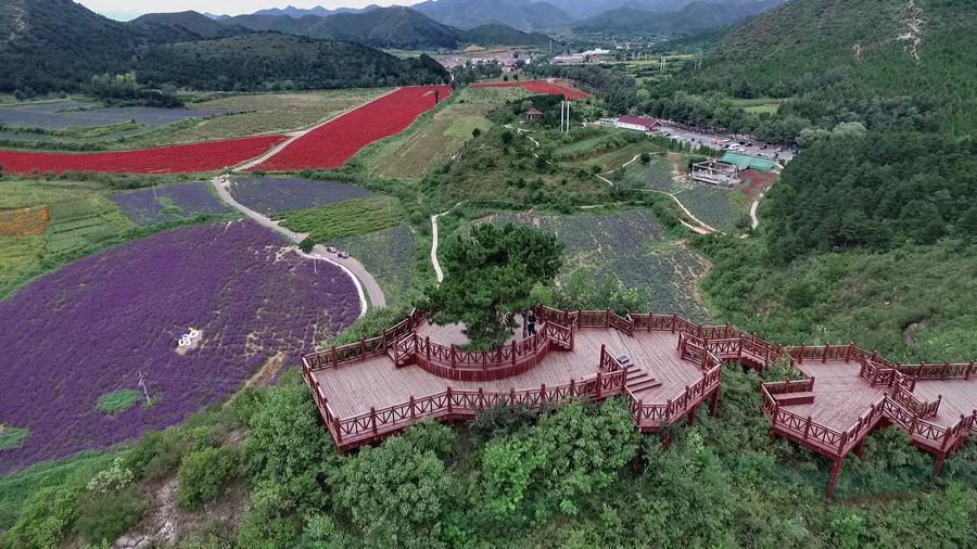 Rural scenery of Beijing in autumn