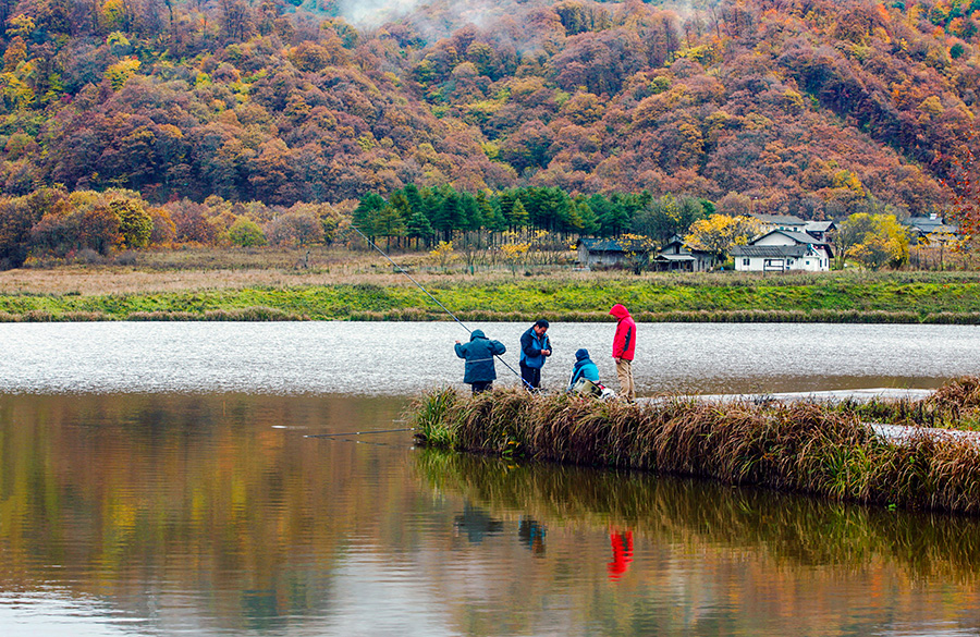 Autumn scenery of Shennongjia, Hubei province