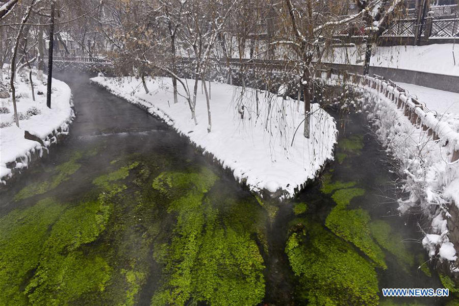 Snow scenery seen in Urumqi, China's Xinjiang