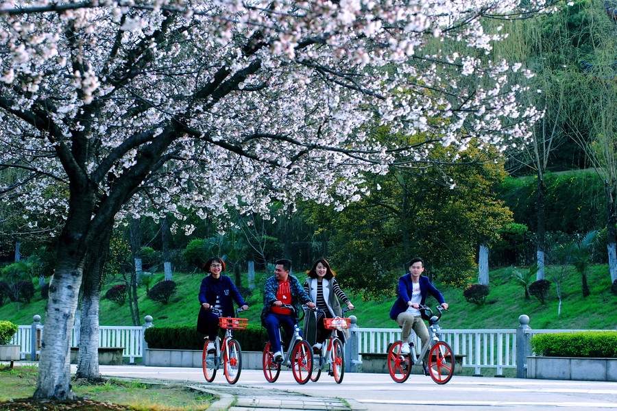 People enjoy spring scenery across China