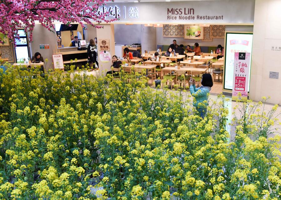 Mall brings spring scenery indoor to attract consumers