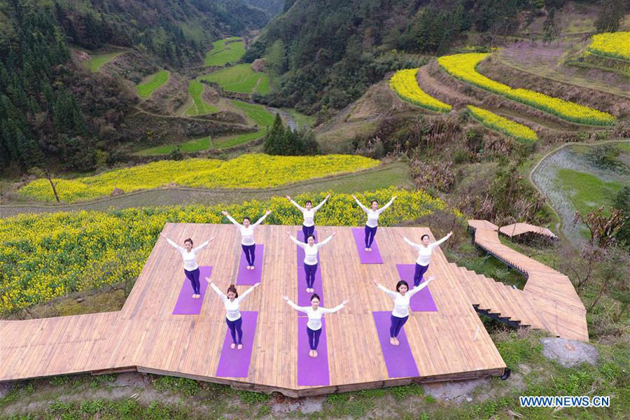 Yoga fans practise yoga on farmland of flowers in Zhangjiajie