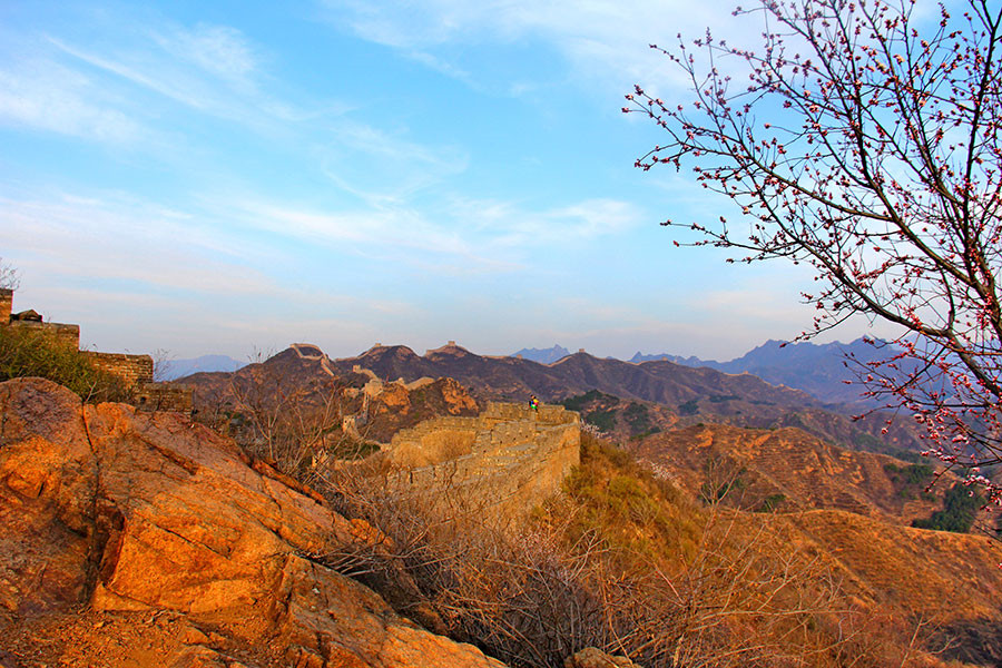 5th Jinshanling Apricot Flower Festival kicks off in Chengde