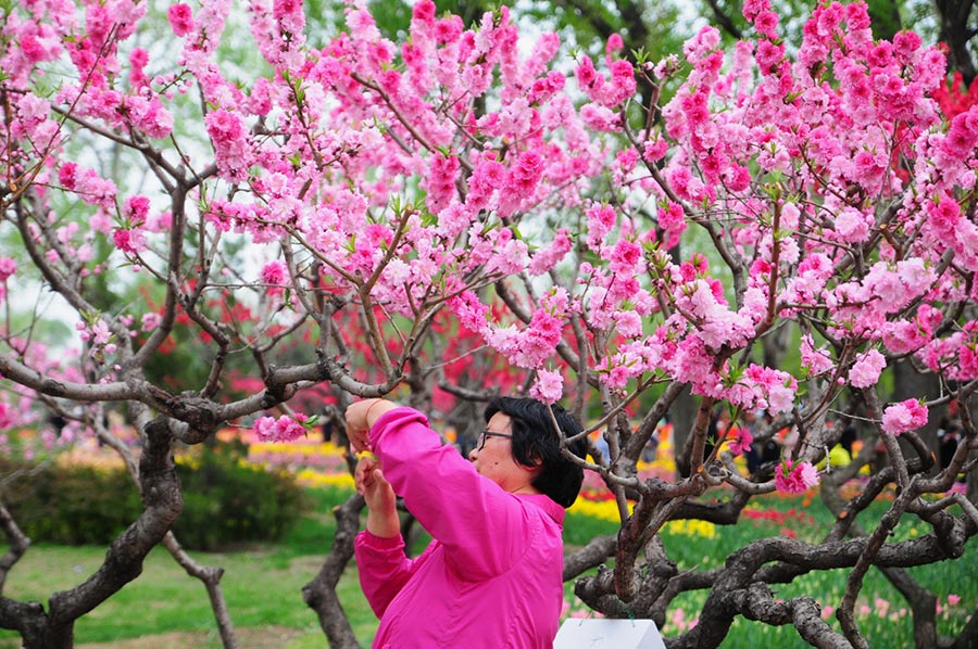 Time to admire flowers