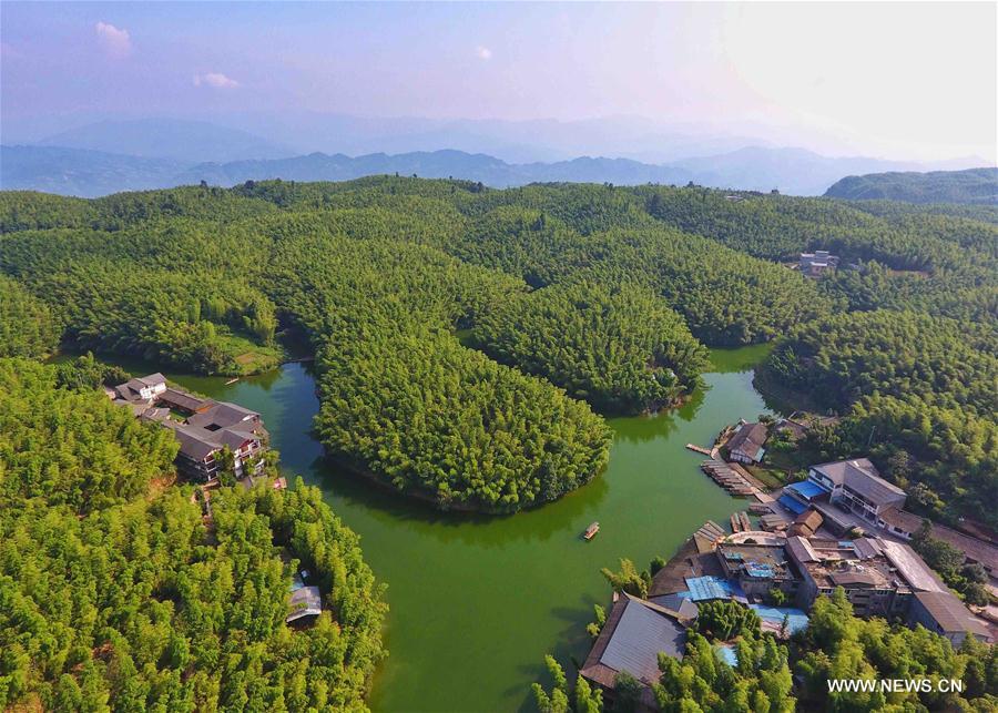 Scenery at Bamboo Sea scenic spot in SW China