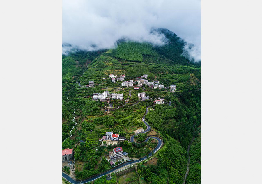 Aerial view of Tianmu Mountain natural conservation area in E China