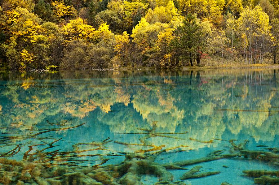 Revisiting natural wonders of quake-hit Jiuzhaigou