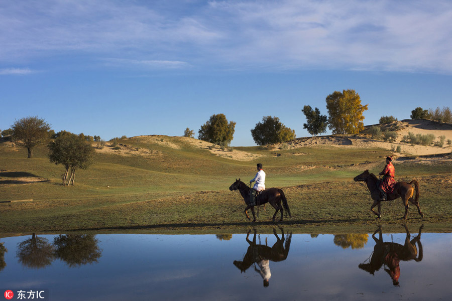 Prancing horses captured in Inner Mongolia