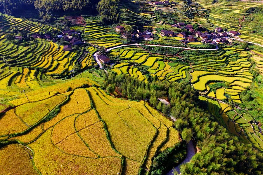 Aerial view of beautiful terraces in E China