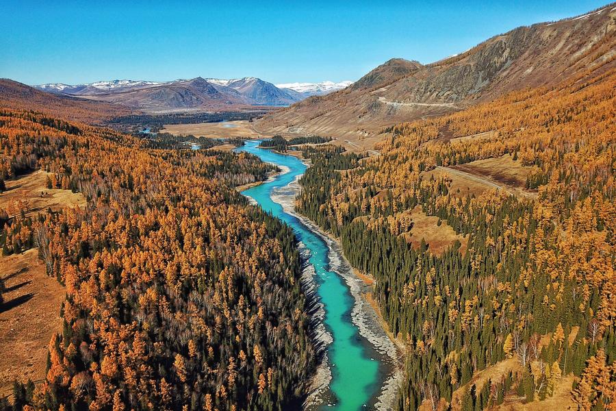 Autumn scenery of Kanas scenic area in China's Xinjiang