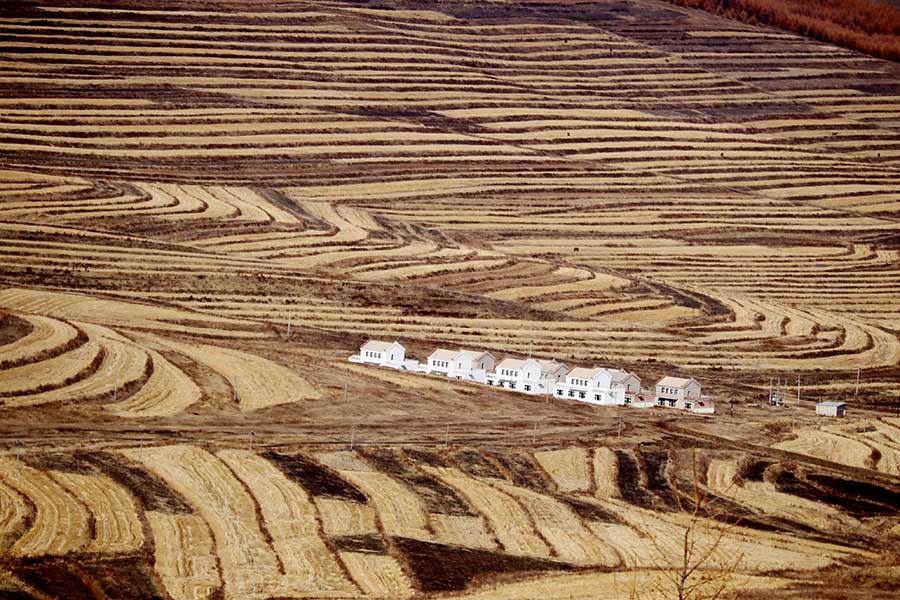 Late autumn scenery in Zhangjiankou, Hebei province