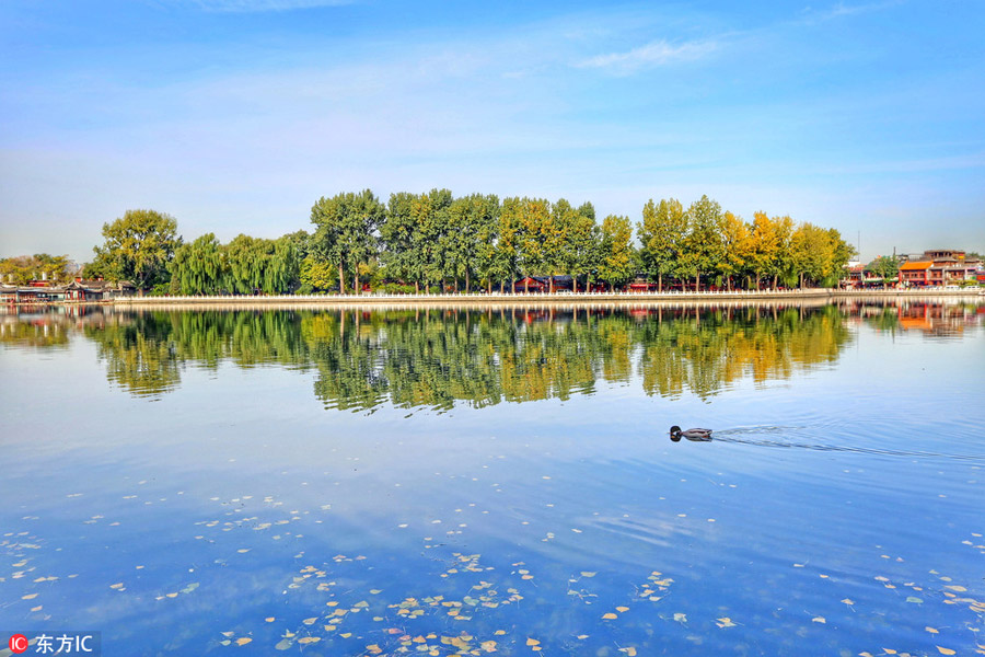 Autumn scenery in Shichahai