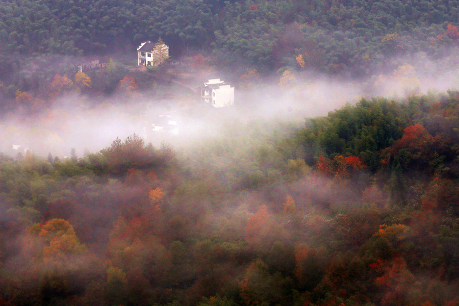 Where to see red leaves of autumn