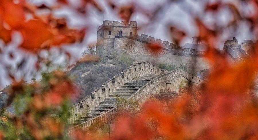 Badaling Great Wall dyed red with autumn leaves