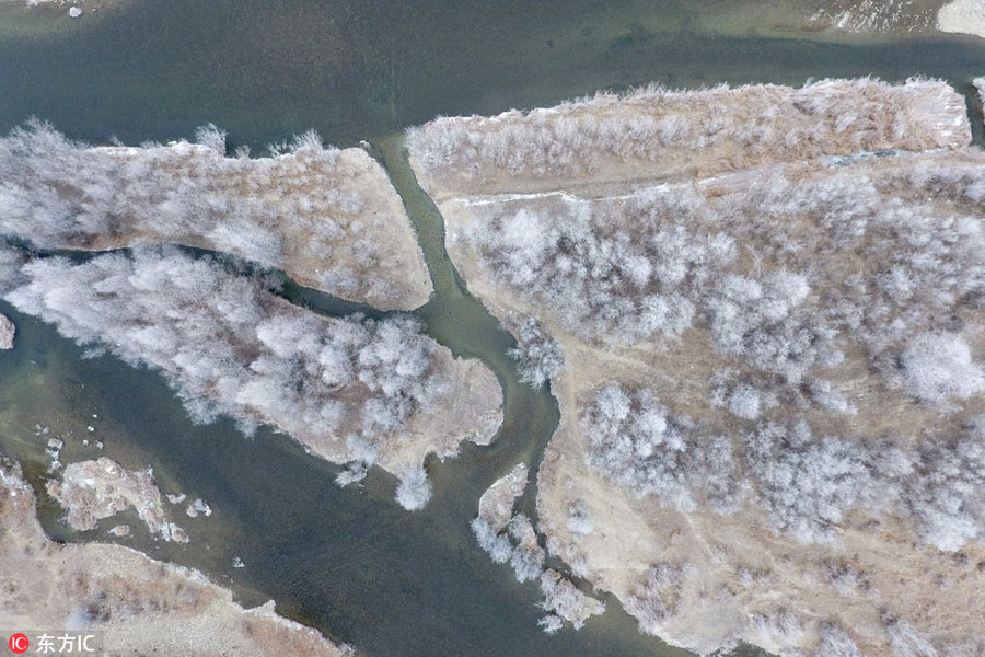 Aerial view of rime-covered trees in NW China