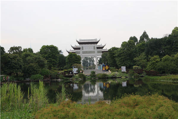 Wonderful wetlands serve to inspire city dwellers