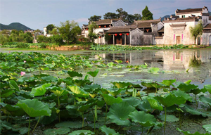 Former Residence of Hu Xueyan: beautiful and luxurious