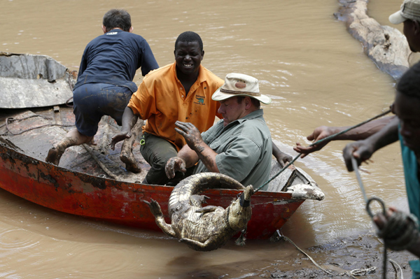 Thousands of crocodiles flee farm