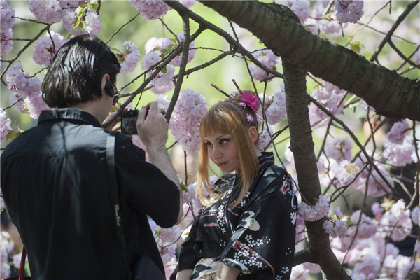 Sakura Matsuri Festival held in NY