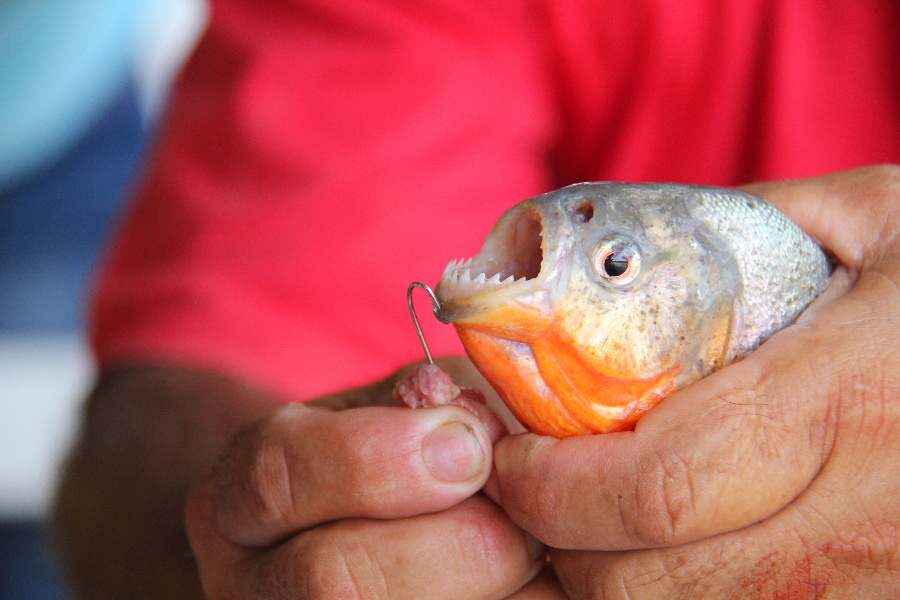 Center of ecotourism for Amazon Rainforest