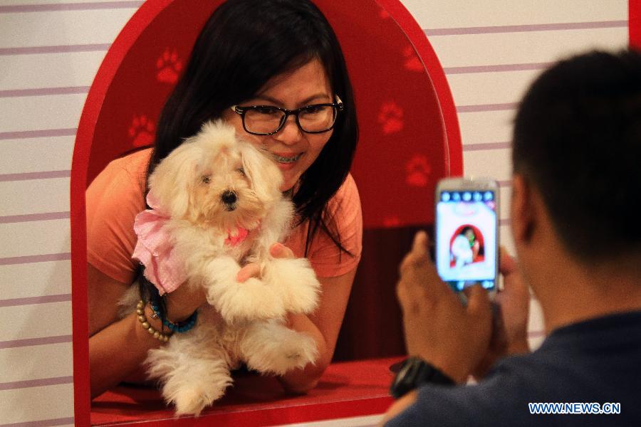 Dog and Cat Expo held in the Philippines