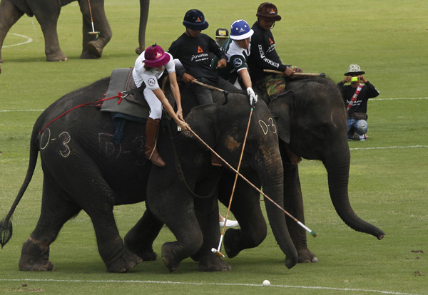 Annual elephant polo tournament kicks off in Thailand