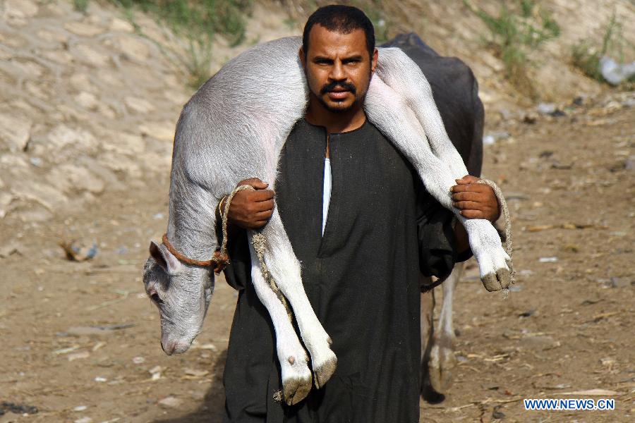 Muslims to celebrate Eid al-Adha in Cairo, Egypt