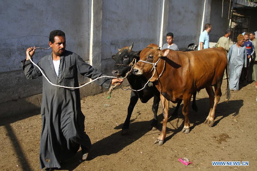 Muslims to celebrate Eid al-Adha in Cairo, Egypt