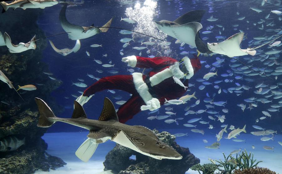 Underwater Santas make a splash in Tokyo